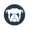 devops Monit