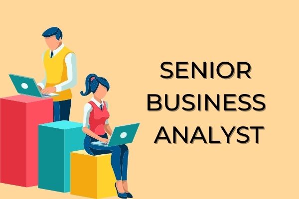 SENIOR BUSINESS ANALYST Bestarion