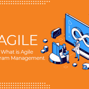 things-to-know-about-agile-program-management