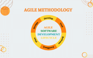 Agile methodology: Definition, Phases and Types - Bestarion