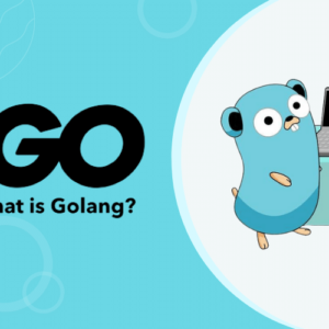 what-is-golang