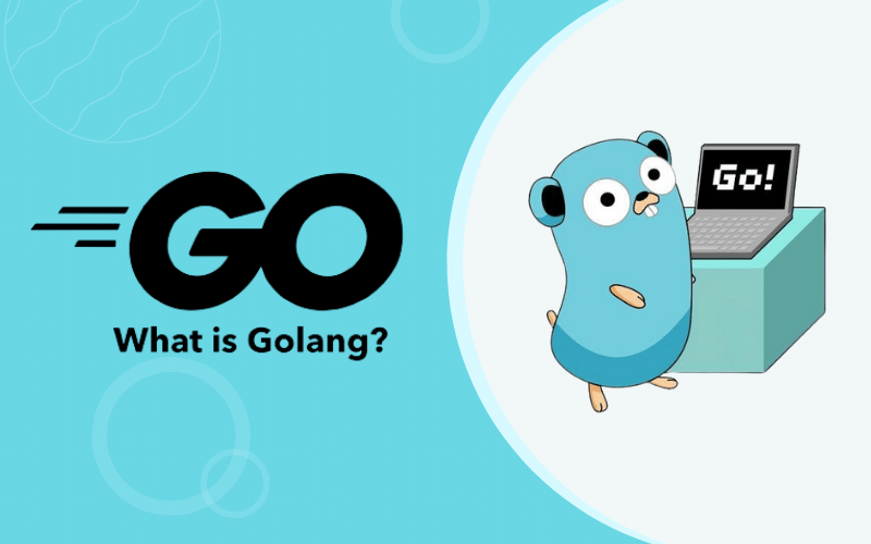 An Overview On Golang Programming Language - Master of Code Global