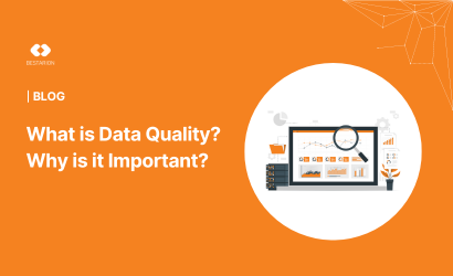 What is Data Quality? Why is it Important?